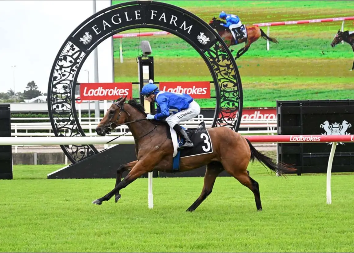 Racehorse winning beneath the Eagle Farm arch