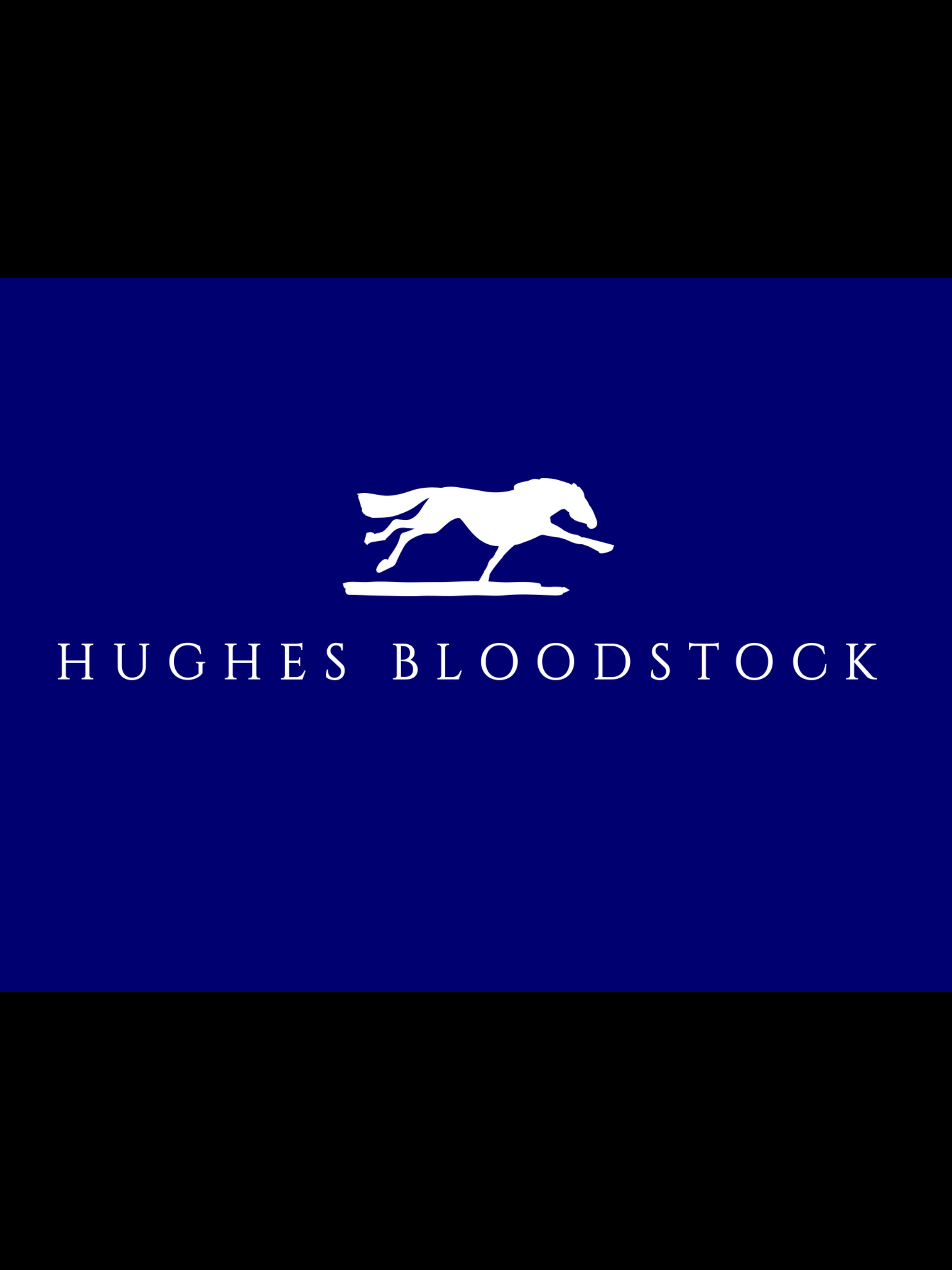 Hughes Bloodstock — white horse logo