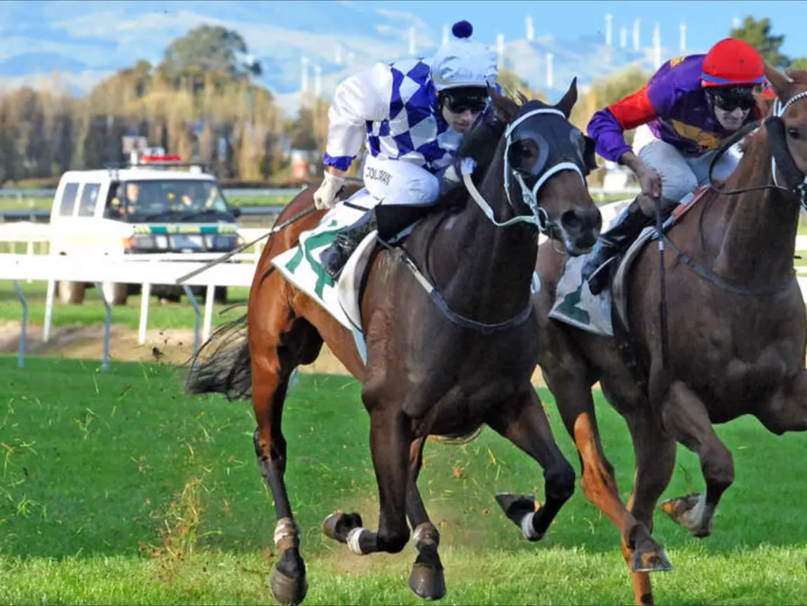 Horses racing towards the finish