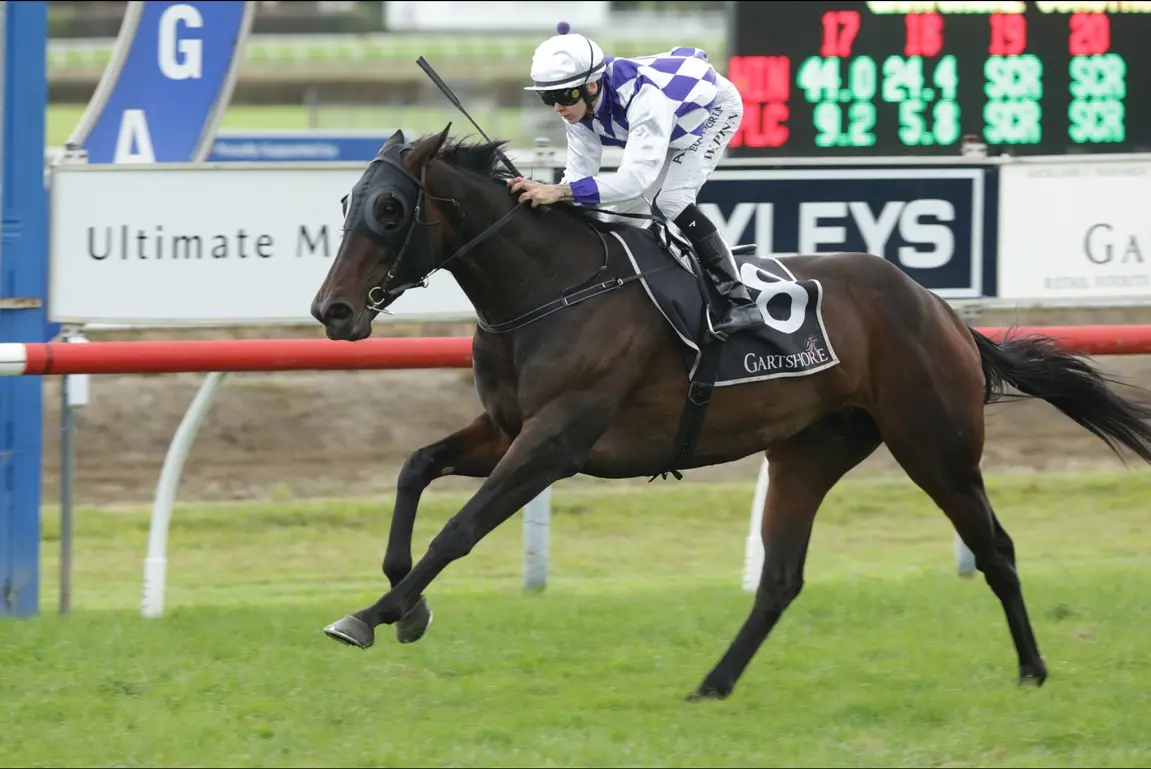 Racehorse competing in purple and white racing colours