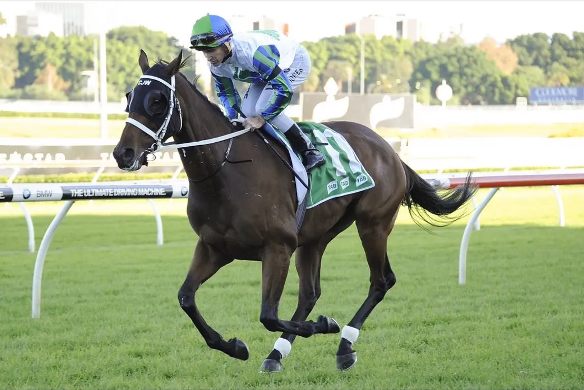 Thoroughbred and jockey on the racetrack